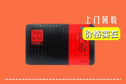 自贡市富顺回收阿胶