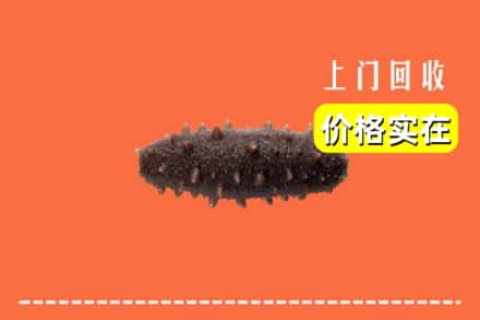 自贡市富顺回收海参
